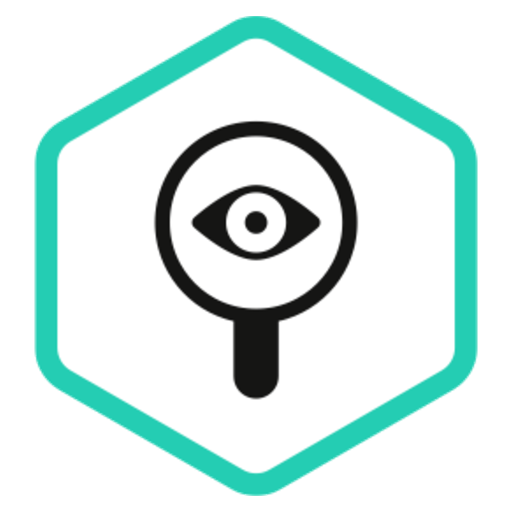 Kaspersky Security Assessment
