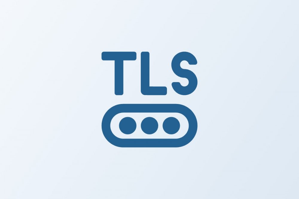 ViPNet TLS Gateway 2: TLS Gateway 550 (TLS500 Q2), Основной узел