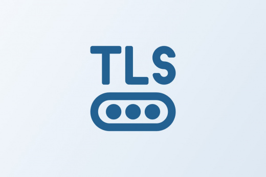 ViPNet TLS Gateway 2