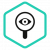 Kaspersky Security Assessment